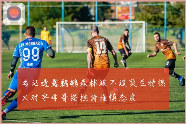 名记透露鹈鹕森林狼不追莫兰特热火对字母哥搭档持谨慎态度